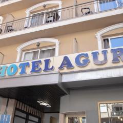 Hotel Agur