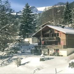 Bussalp Apartment - Aare Jungfrau AG