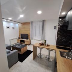 Apartman Pariz