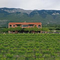 Stella Vineyard