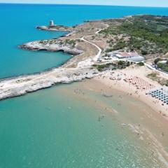 Villaggio Turistico Scialmarino