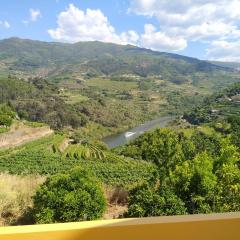 Casa Avós D'Ouro - Barqueiros, Mesão Frio, Douro