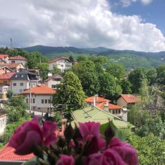 Hedgehog's Home - Ježeva kućica Free Parking