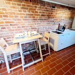 RED BRICKS basement studio apartment