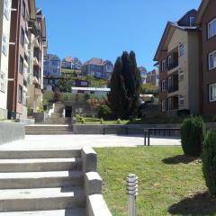 Decher Apartment - Puerto Varas