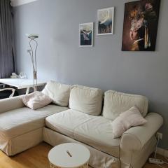 Apartament Boni