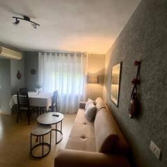 Apartament in center Tirane