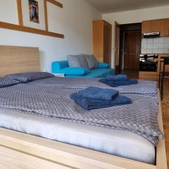 Apartma Luka with private parking