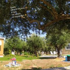 Bungalows with private pools "Tales of the Soul - Της Ψυχής Τα Παραμύθια"