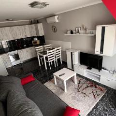 Viki Apartman