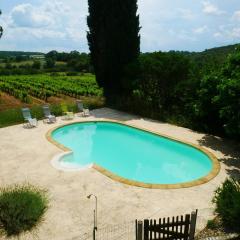 Mas Ribaute - Pour 10 avec piscine privée