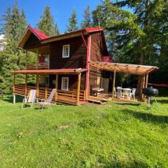 Cosy wooden house in the heart of Apuseni.