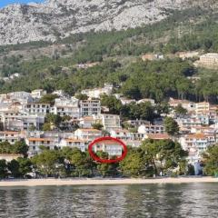 Apartments by the sea Brela, Makarska - 20598