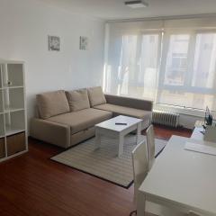 Apartamento L&R en centro de Pontevedra