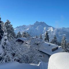 Villars Alpine Heaven - Ski In