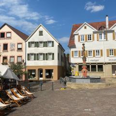 Marktblick-Besigheim