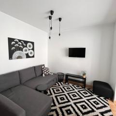 Stilingi šaulio skulptūros apartamentai