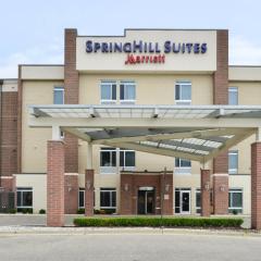 Springhill Suites by Marriott Detroit Metro Airport Romulus