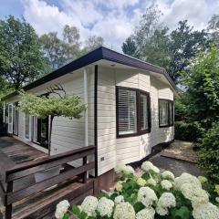 Luxe 4-6 pers Chalet op de Veluwe