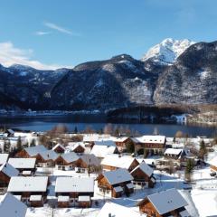 Nice apartment with Hallstättersee view