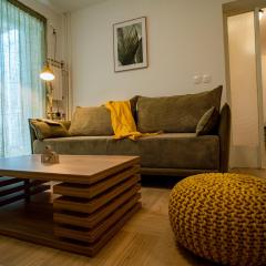 Apartman Terra centar, free parking