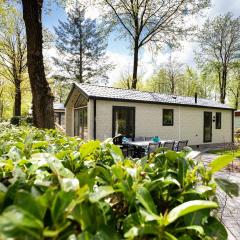 Well-kept chalet in the middle of De Veluwe