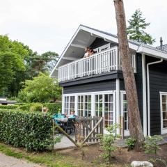 Detached chalet in the middle of De Veluwe