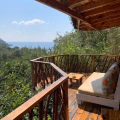 Bamboo Bungalow with Sea View in Kabak Bay, Ölüdeniz