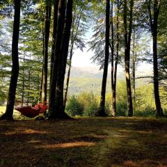 Cabana Cheia Fericirii - Forest Family Retreat