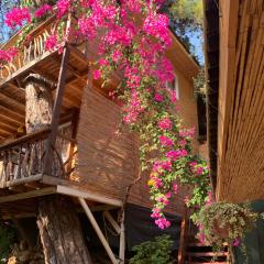 Large Bungalow with Sea View in Kabak Bay, Ölüdeniz