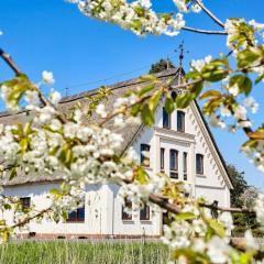 Cityappartement am Kirschberg