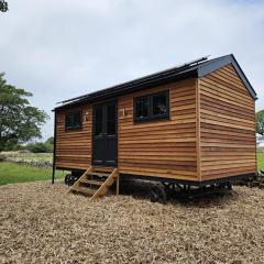 Woodland Shepherds Hut - 'Saga'