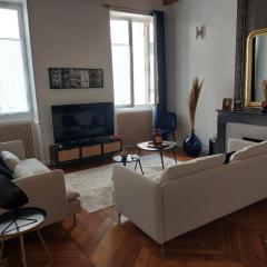 APPARTEMENT CENTRE VILLE VIENNE