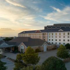 Hilton Garden Inn Las Colinas