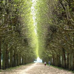 Paris & Versailles at your feet! Shared room in nice house