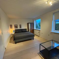 Private Room in Billund near Lego House & Legoland