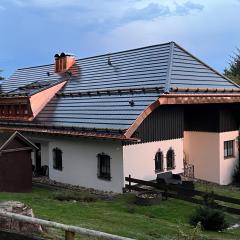 Schwarzwald-Villa mit Indoor-Pool