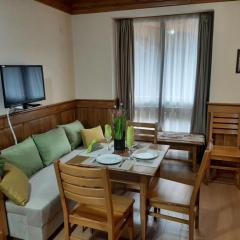 Private Studio Pirin Golf Hotel Bansko