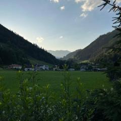 Naturparadies Nähe Grüner See