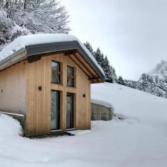 Chalet*** au pied d'une prairie face à la montagne