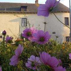 Manoir de la Guignardiere - Charme et Douceur