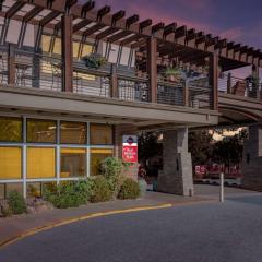 Best Western Plus Canyonlands Inn