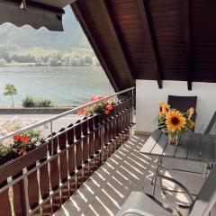 Ferienwohnung Moselflair mit direktem Blick auf die Mosel und Weinberge