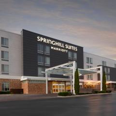 SpringHill Suites by Marriott San Angelo