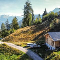 Modern chalet surrounded by nature in Vercorin