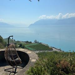 Panoramic Room in the vineyard,stunning views of lake and Alps