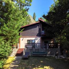 Mountain Family Chalet on Prahova Valley