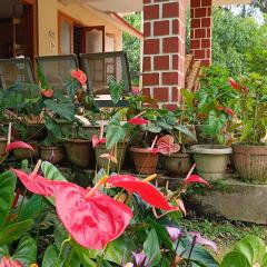 Blue Petal Homestay