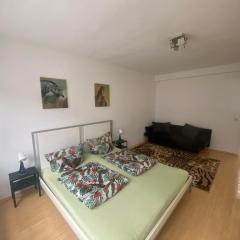 Chic & Trendy Mainz Apartment near cetral station