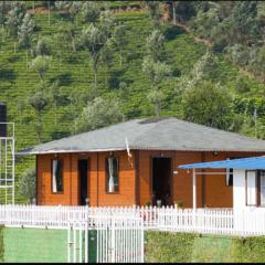 Sandy Wood House Ooty - 2Bhk Villa